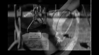 EKV   Ona mi je rekla