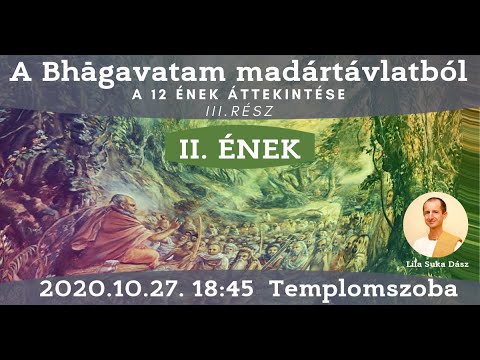 A Bhāgavatam madártávlatból  -  A II. ének áttekintése | Lila Suka Dász