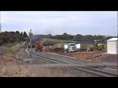 El Zorro SG Grain Powers Up Lovely Banks 2011