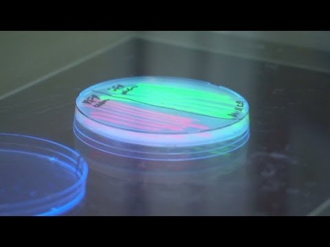 Inside a DIY biotech lab