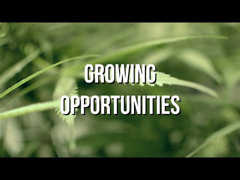 download lagu mp3 mp4 Growing Opportunities, download lagu Growing Opportunities gratis, unduh video klip Growing Opportunities