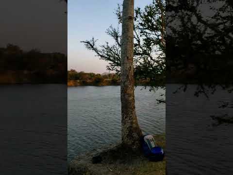 Laguna Esmeralda, El Porvenir Santa Ana   #suscribete #elsalvador #shortvideo