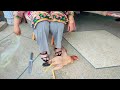 Woman Butcher Chicken Sumya Vlog