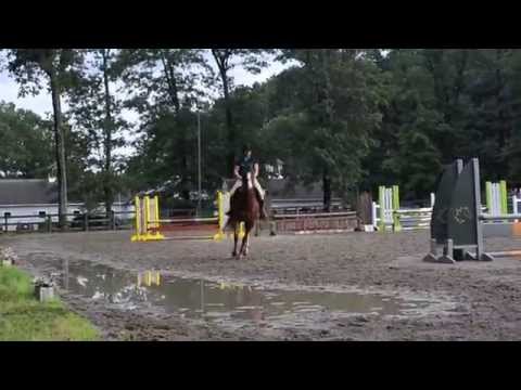 Lizz - Apple Knoll Horse Show