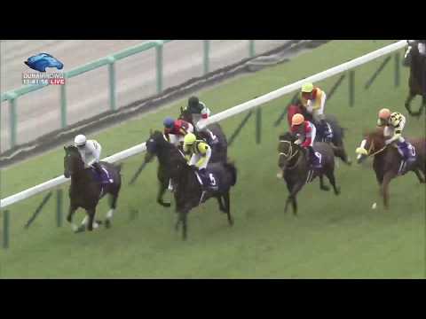 2019.06.23 Takarazuka Kinen (JPN) - Lys Gracieux