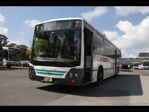 Forest Coach Lines [Terrey Hills] Mercedes-Benz O405 / Custom Coaches CB50, m/o 7831