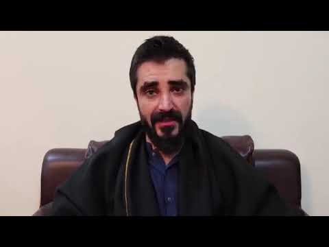 Hamzai Ali Abbasi Left Showbez