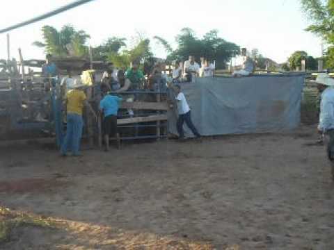 Torrinha vs Big Bhother (Cia de Rodeio Rancho Coração Sertanejo)