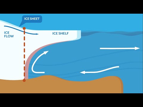 TiPACCs: Antarctica and Tipping Points