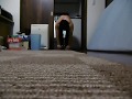 アブローラー150回(5秒以内に1回のテンポ)