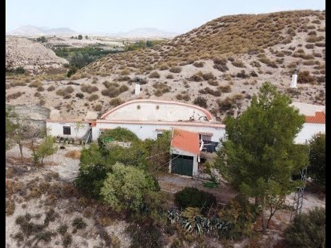 video image