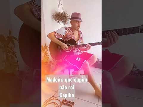 Madeira que Cupim Não Rói - Capiba