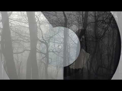 Pooch. - Wisdom of Acid ( Original Mix ) * Preview *