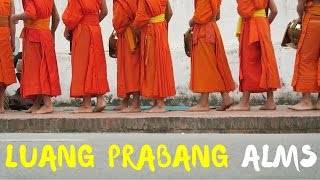 UGLY TRUTH Luang Prabang Alms Ceremony - YouTube
