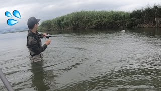 【Hi】タイニーでこんな釣れ方したら心が痛いにー