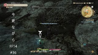 今更ながらFF14 #36  【ゆっくり実況】