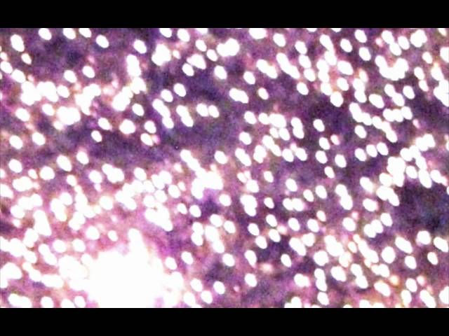 Stereo MC's - Show Your Light (Acapella)