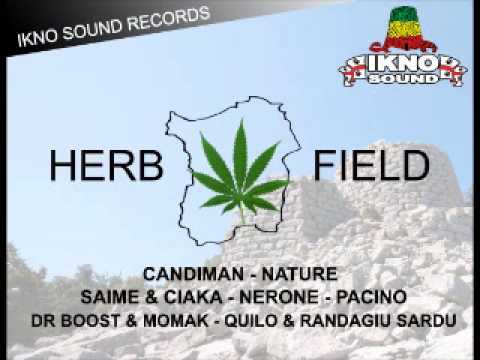 Candiman - Herb Field (Herb Field Riddim 2013)