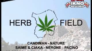 Candiman - Herb Field (Herb Field Riddim 2013)