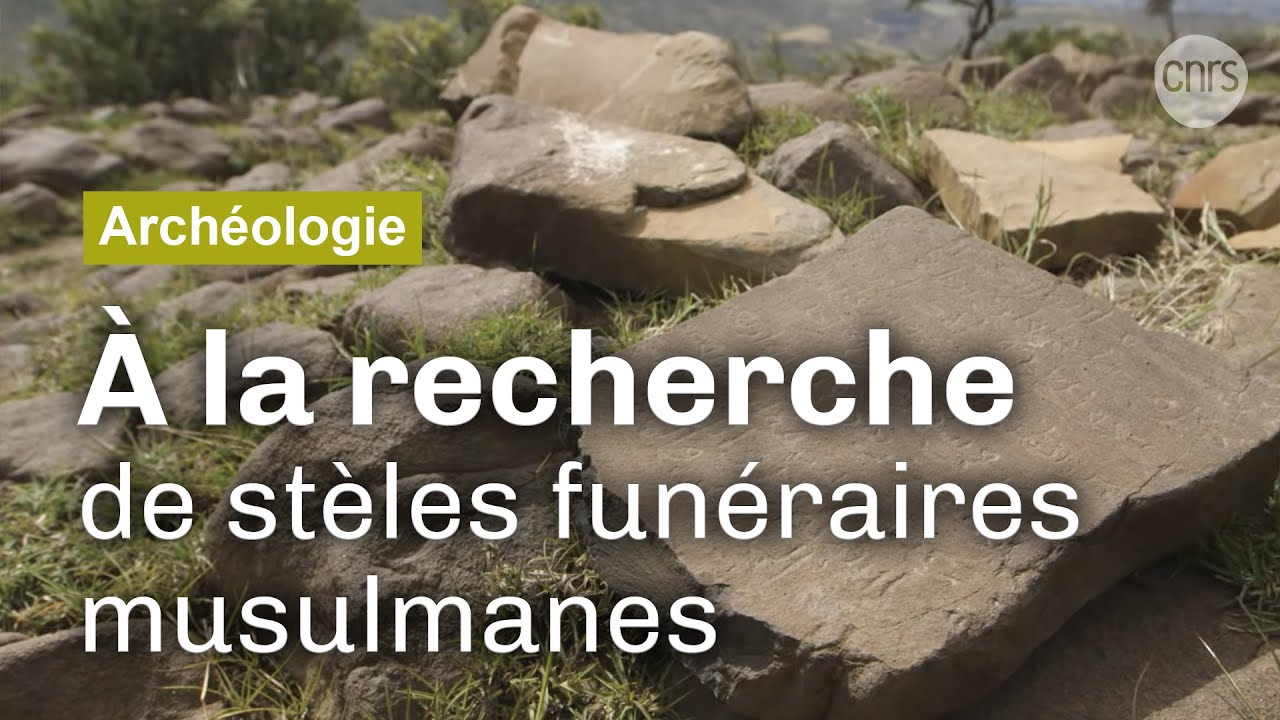 Aperçu de la vidéo