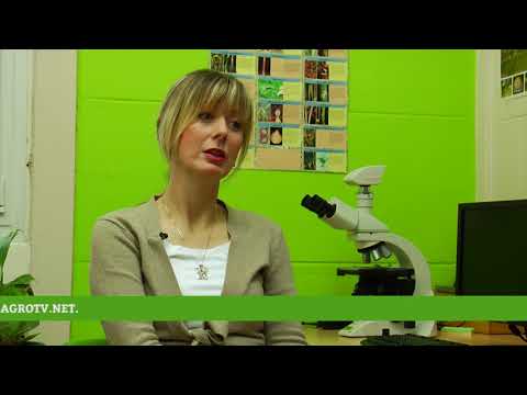 Reč struke ep.148 25.01.2018. - Gajenje i zaštita crnog luka