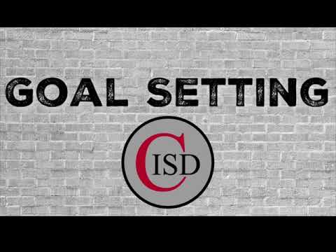 Ttess Goals Examples