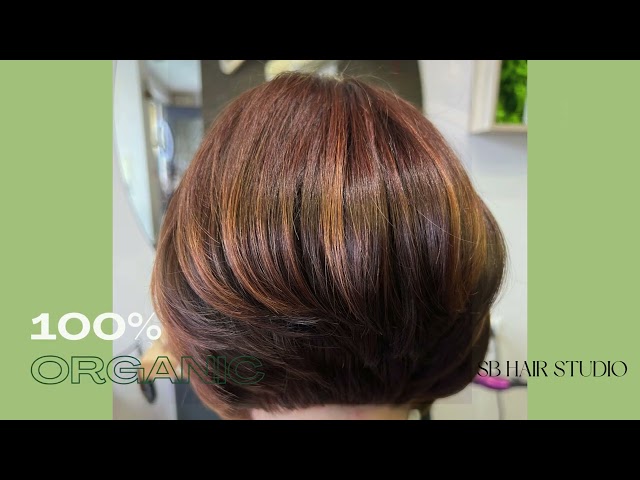 Youtube - SB Hair Studio