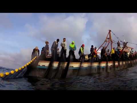 Latest Updates!!! lagak sa payaw😱 #youtube #fishing #youtubevideo #youtubechannel