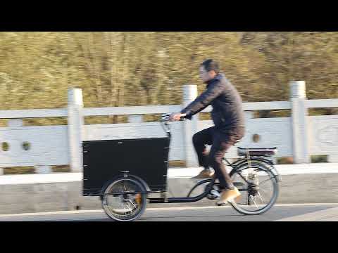 KK6010 Classic Dutch Electric Cargo Trike for Seniors (Black, 250W, 360Wh, 6 Speed)