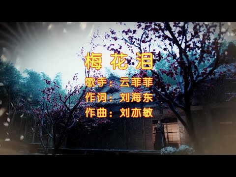 梅花泪-云菲菲-伴奏 KARAOKE