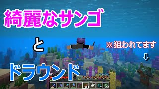 【マイクラ】猫クラ2パート24 『要塞探しの旅』