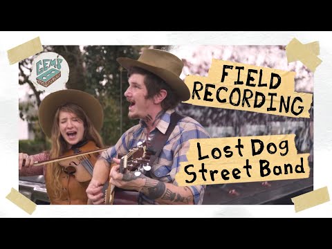 Lost Dog Street Band, "Dublin Blues," by Guy Clark // GemsOnVHS™