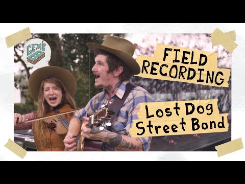Lost Dog Street Band, 
