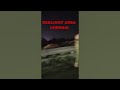 Chennai Red Light Area Poonamallee And CMB Chennai Viralvideos Redlight Chennairedlightarea