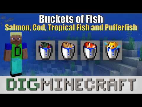 Buckets of Fish (Salmon, Cod, Tropical Fish and Pufferfish) in Minecraft Aquatic Update