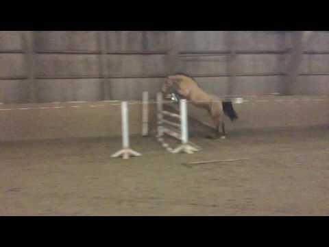 Chin Champ - Calando