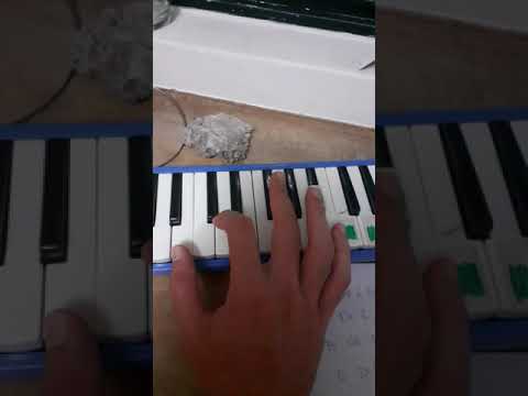 Como tocar escaleta - valsa la partita na escaleta - vídeo aula de escaleta