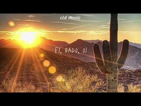 Luiz Gonzaga - A Morte Do Vaqueiro (letra)