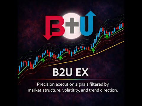 Video B2U ExcellentX