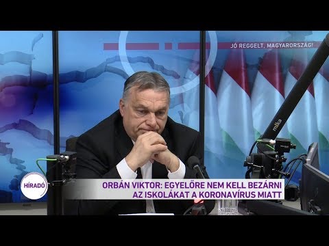 Sertésháló ízületi fájdalmak kezelésére