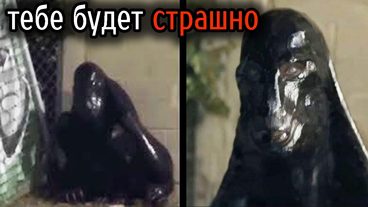 Самые Ужасные Видео со Всего Мира #117