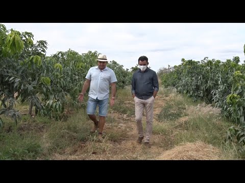 Produtores usam rio para irrigar plantações de frutos em Conceicão de CanindeÌ 09 10 2021