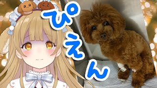 死ぬかと思った～～～～～～【因幡はねる / ななしいんく】