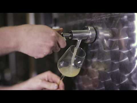 Vendanges au Domaine Fernand Engel