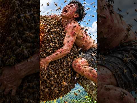 A Dangerous Battle with Wild Bees!