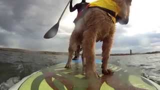 preview picture of video 'Pups first trip down the Essex River'