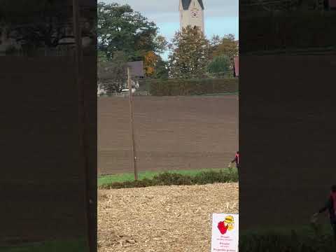 Marshal going crazy - WRC Rallye Central Europe - Safety First 😉 #wrc #cer #crash #marshall