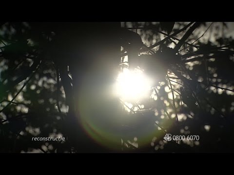 Reconstructie van de moord op Miet van Bommel uit Bladel