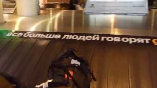 preview picture of video 'Arrival Moscow International Airport | Immigration at Moscow Airport [HD]'