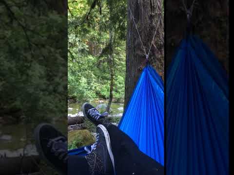 Hammock heaven listening to the wilderness. 